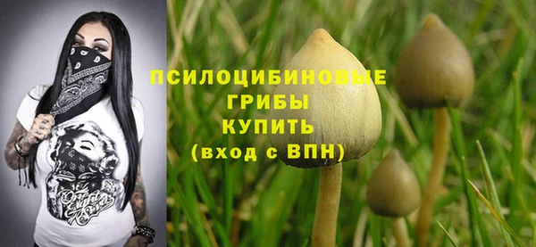 герыч Алзамай