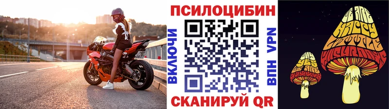 Псилоцибиновые грибы мицелий  Гаджиево 